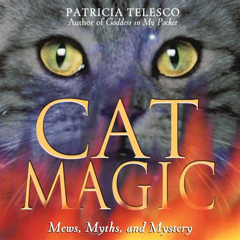 Magical feline book